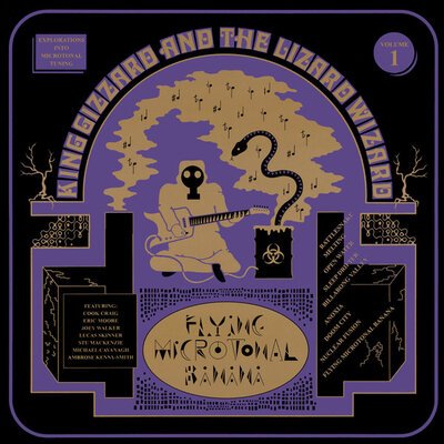 King Gizzard And The Lizard Wizard – Flying Microtonal Banana-lp-Tron Records