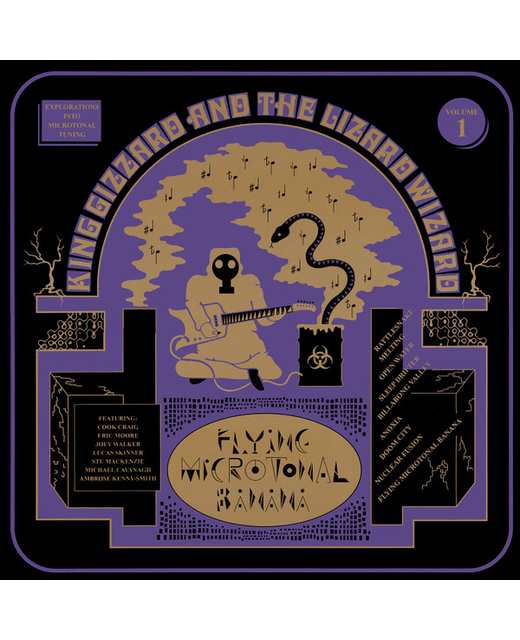 King Gizzard And The Lizard Wizard – Flying Microtonal Banana