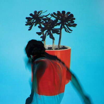 Local Natives – Sunlit Youth-lp-Tron Records