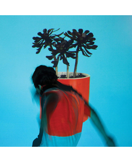 Local Natives – Sunlit Youth