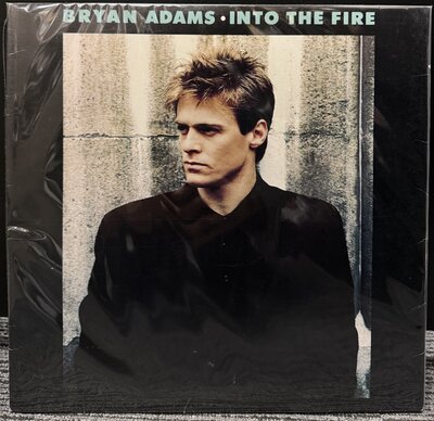Bryan Adams – Into The Fire-lp-Tron Records