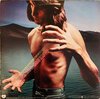 Todd Rundgren – Back To The Bars