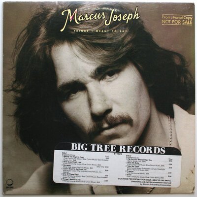 Marcus Joseph - Things I Meant To Say-lp-Tron Records