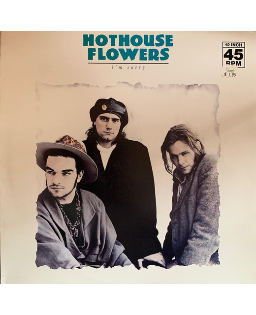 Hothouse Flowers – I'm Sorry