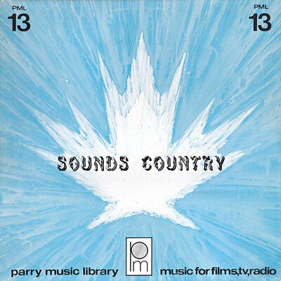 Don Howard / Paul Zaza / Paul Rey – Sounds Country-lp-Tron Records