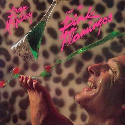 Dave McArtney & The Pink Flamingos – Dave McArtney & The Pink Flamingos-lp-Tron Records