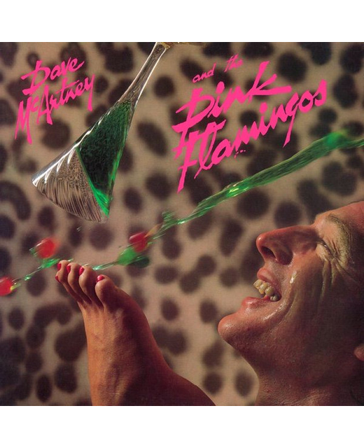 Dave McArtney & The Pink Flamingos – Dave McArtney & The Pink Flamingos