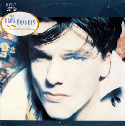 The Blow Monkeys – She Was Only A Grocers Daughter-lp-Tron Records