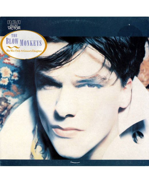 The Blow Monkeys – She Was Only A Grocers Daughter