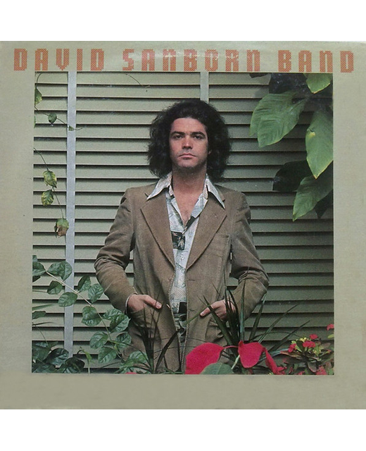 David Sanborn Band – Promise Me The Moon