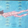 Little River Band – Greatest Hits