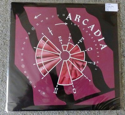 Arcadia – Election Day (The Consensus Mix)-lp-Tron Records