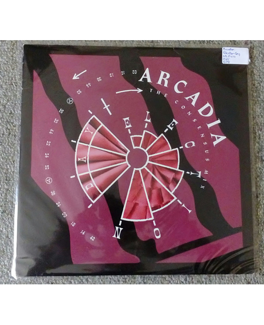 Arcadia – Election Day (The Consensus Mix)