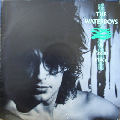The Waterboys – A Pagan Place-lp-Tron Records