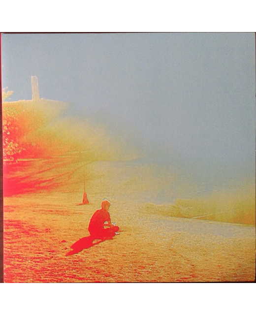 The Flaming Lips – The Terror