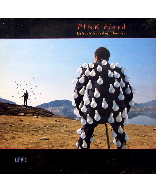 Pink Floyd – Delicate Sound Of Thunder