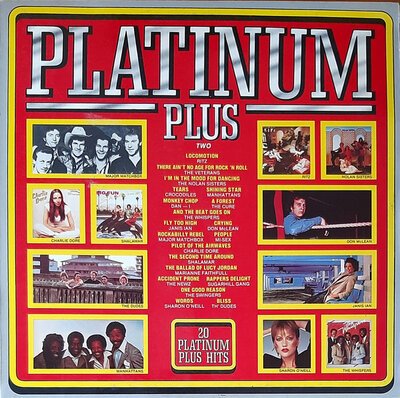 Various – 20 Platinum Plus Two-lp-Tron Records