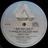 Stray Cats – She's Sexy + 17