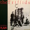 The Triffids – Treeless Plain