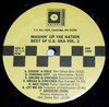 Various – Mashin' Up The Nation Best Of U.S. Ska Vol. 1