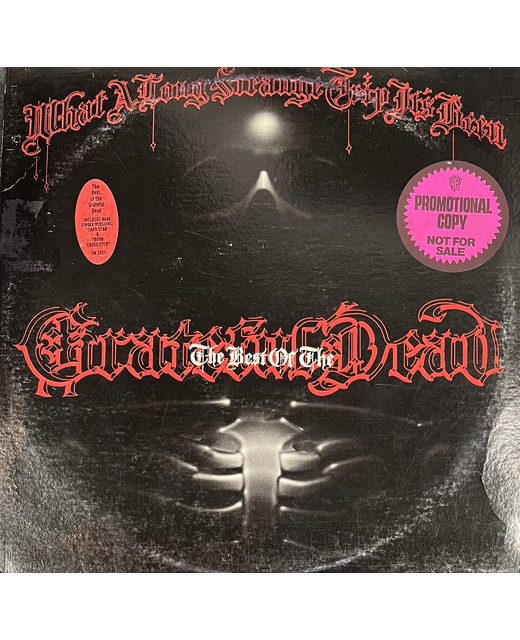 The Grateful Dead – What A Long Strange Trip It's Been