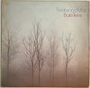 Fleetwood Mac - Bare Trees