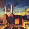 Pink Floyd – Animals