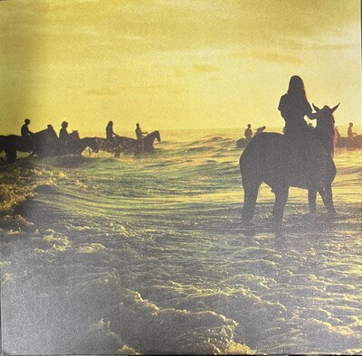Foals – Holy Fire-lp-Tron Records