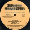 Manheim Steamroller - Fresh Aire lll