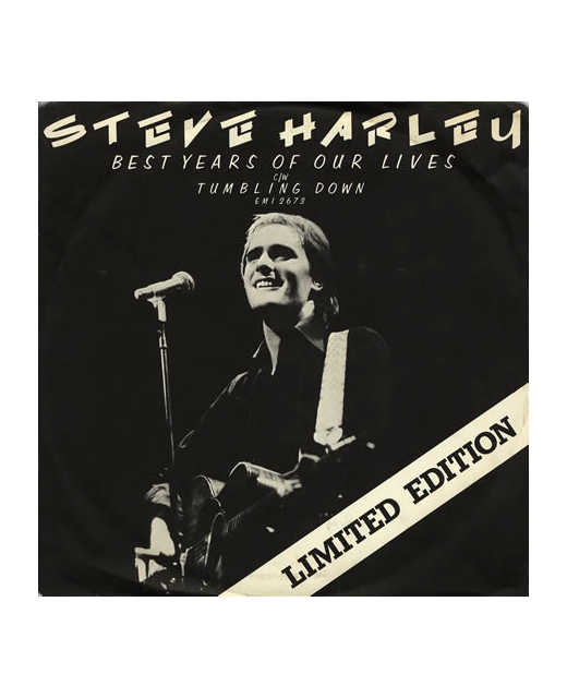 Steve Harley - Best Years Of Our Lives