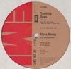 Steve Harley - Best Years Of Our Lives