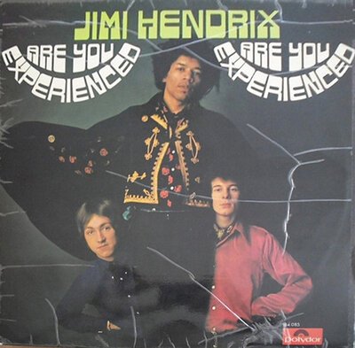 The Jimi Hendrix Experience – Are You Experienced-lp-Tron Records