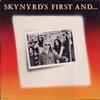 Lynyrd Skynyrd - Skynyrd's First And Last