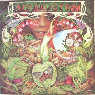 Spyro Gyra - Morning Dance-lp-Tron Records