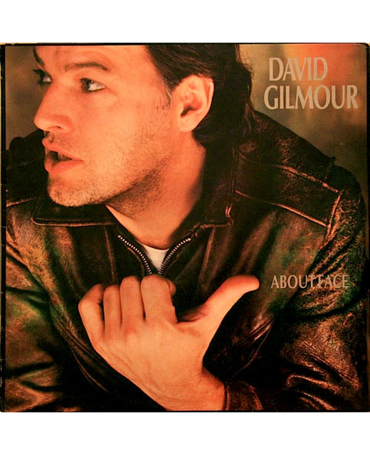 David Gilmore - About face