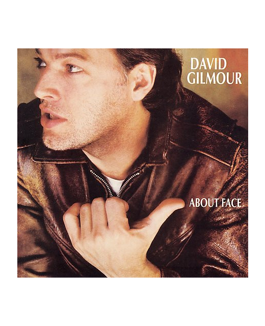 David Gilmour - About Face