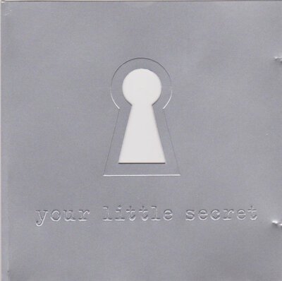 Melissa Etheridge - Your Little Secret-cds-Tron Records
