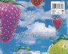 Lightning Seeds - Jollification (CD)