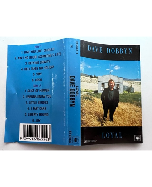 Dave Dobbyn - Loyal