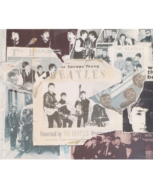 The Beatles - Anthology 1 (CD)