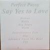 Perfect Pussy – Say Yes To Love