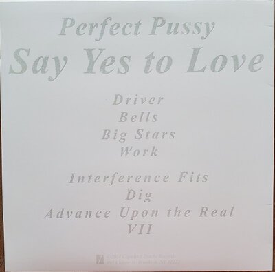 Perfect Pussy – Say Yes To Love-lp-Tron Records