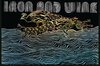 Iron And Wine – Walking Far From Home