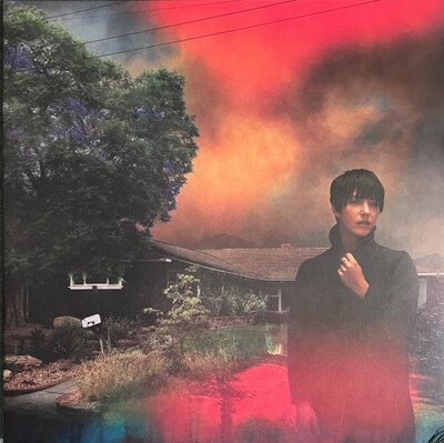 Sharon Van Etten – We've Been Going About This All Wrong-lp-Tron Records