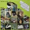 Various – Nature Study Vol. 1
