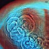 Pink Floyd – Meddle