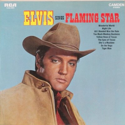 Elvis Presley - Sings Flaming Star-lp-Tron Records